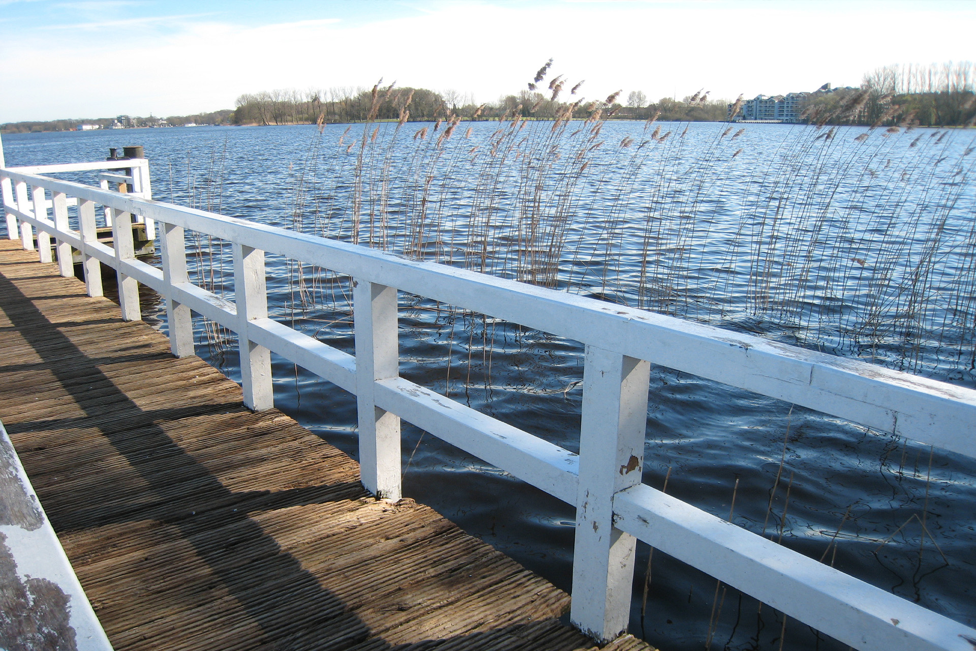 Sonntagspezial Angebot 2025