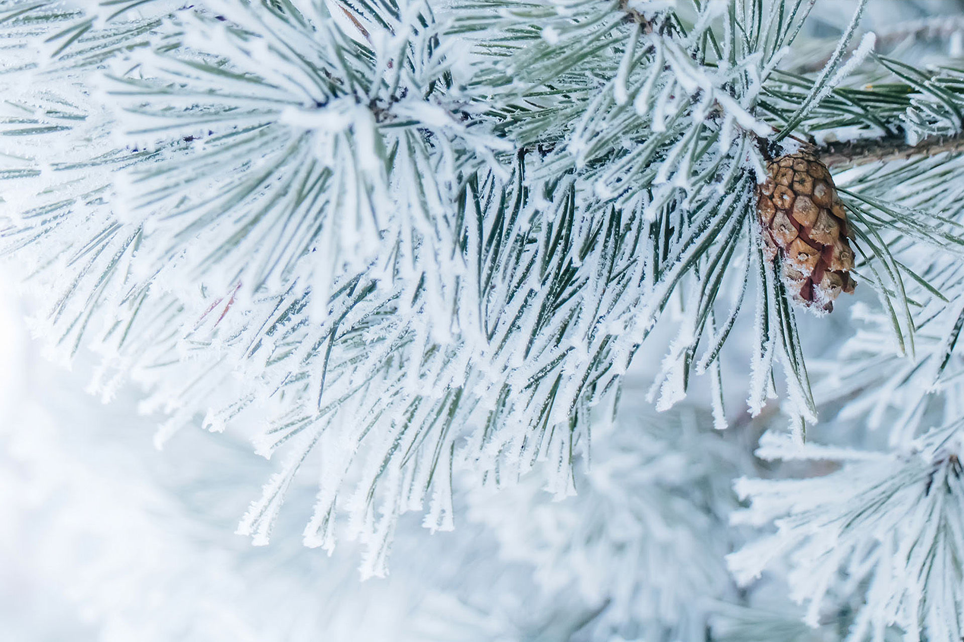 Winterspartip 2025 8 Tage